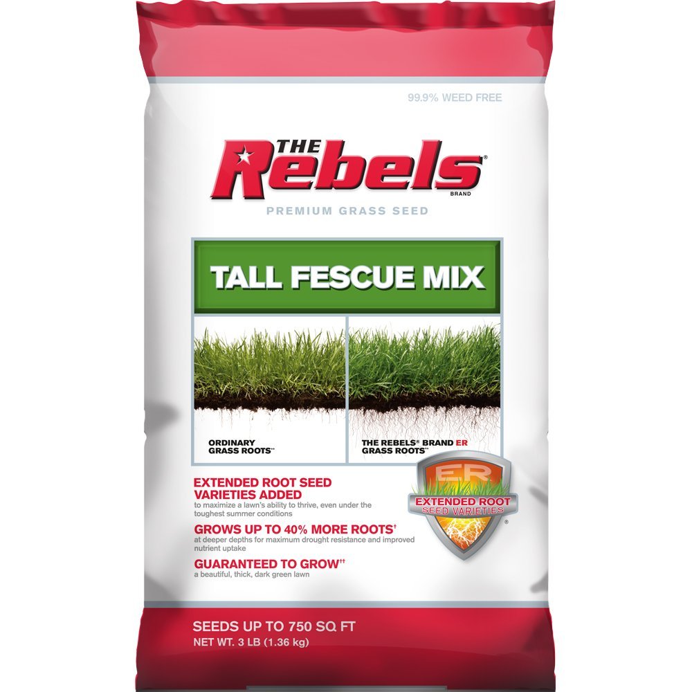 Rebel Tall Fescue Mix 3 Lb Pennington