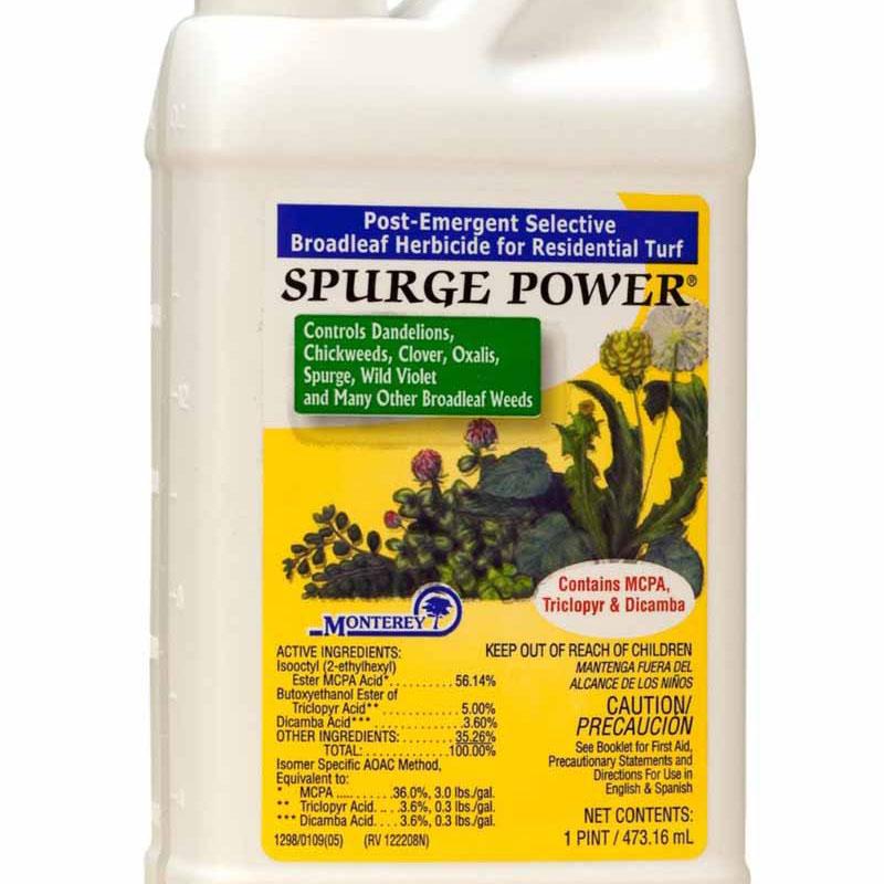 Monterey Spurge Power Herbicides 1 Pint
