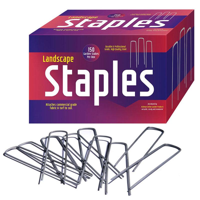 bric/Sod Staples 6 In 1000/ box