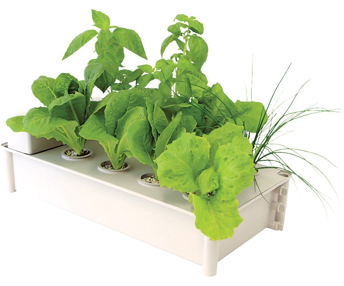 Hydroponics Indoor Salad Box