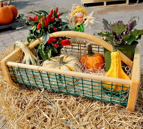 Pike's Original Maine Garden Hod, Small