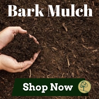 Boston Mulch Delivery