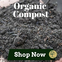 Organic Compost Boston