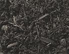 Dark Bark (Shredded)