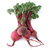 Beets