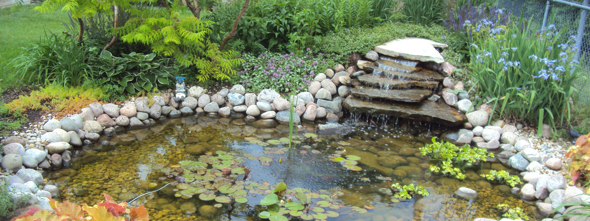 Choosing the Right Pump for your Water Garden