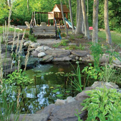 Helpful Hints for Maintaining your Water Garden