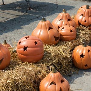 Fall Plants & Decor at Northeast Nursery