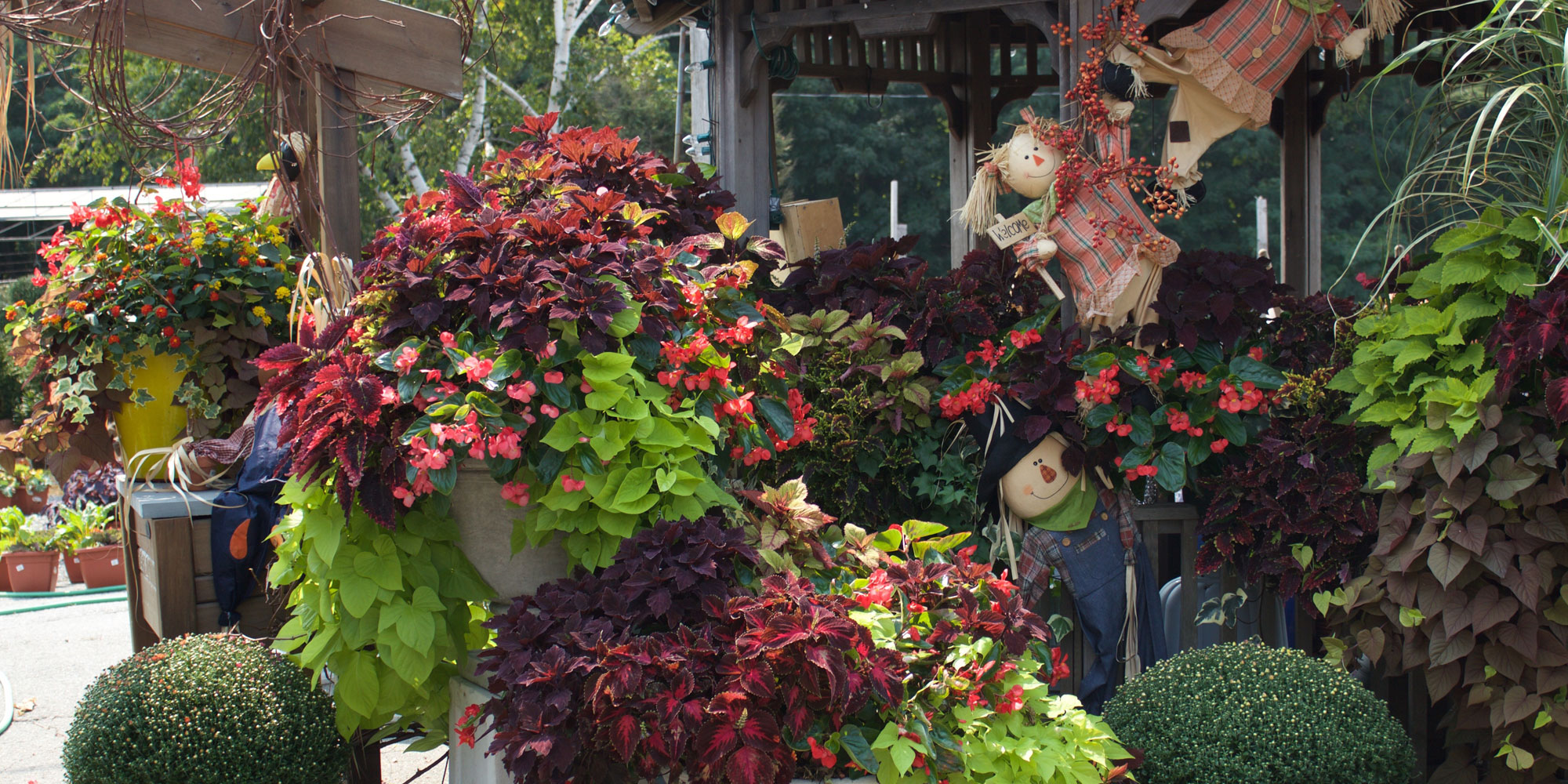 Fall Plants & Decor at Northeast Nursery