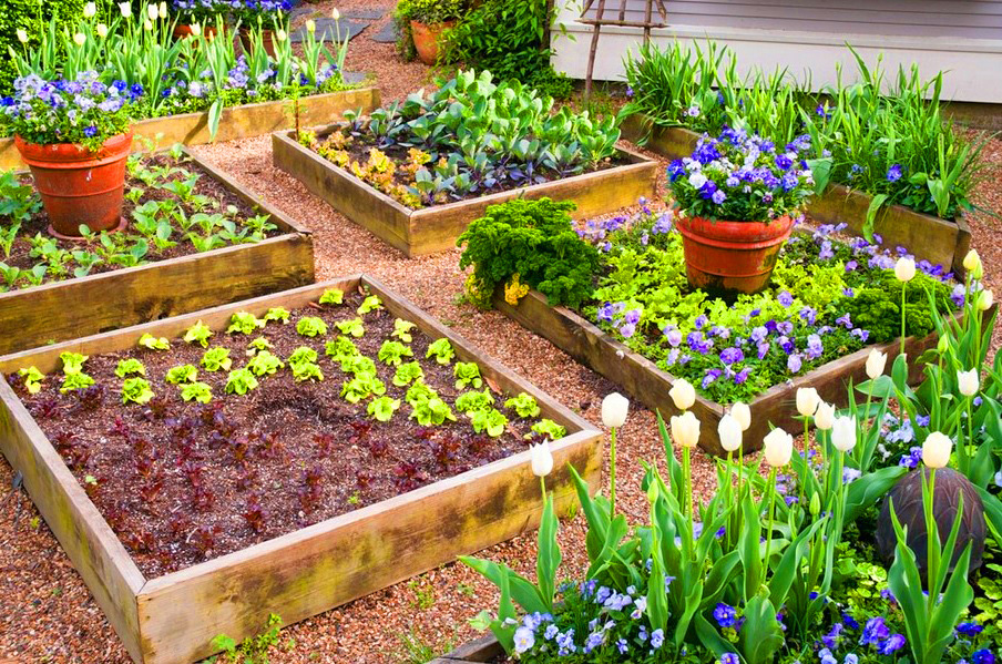 Raised Bed Gardening Starter Guide