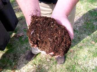 What is Compost, and Why do I need it?