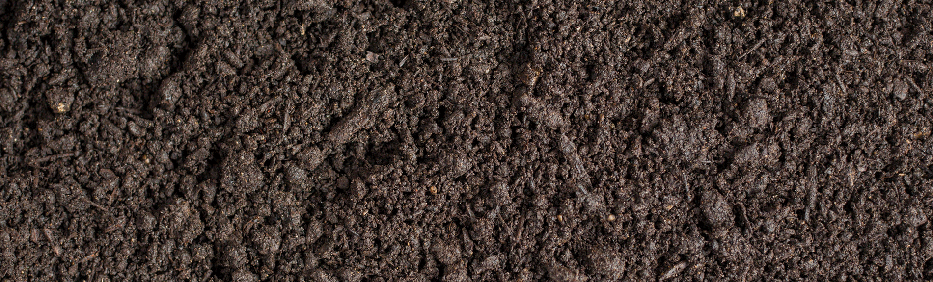 What is Compost, and Why do I need it?