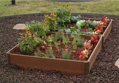 The Benefits of Raised Bed Gardens