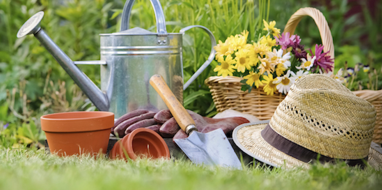 Spring Garden Care - Tips to Get your Yard Looking its Best
