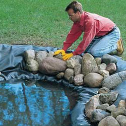 Water Gardening: Steps for Building a Pond