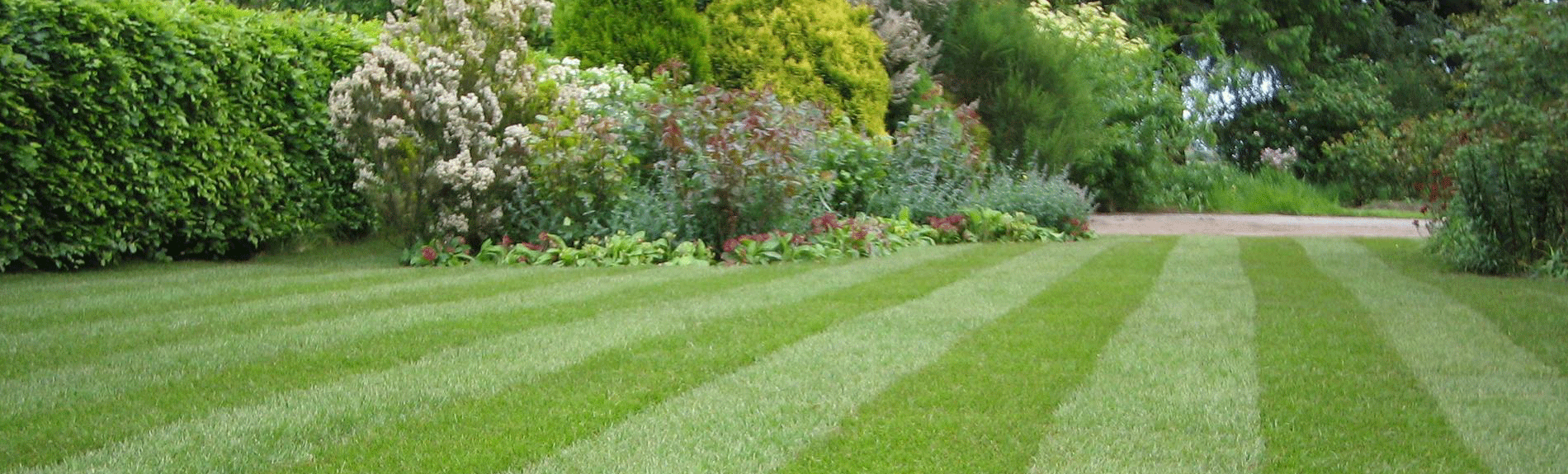 Lawn Maintenance