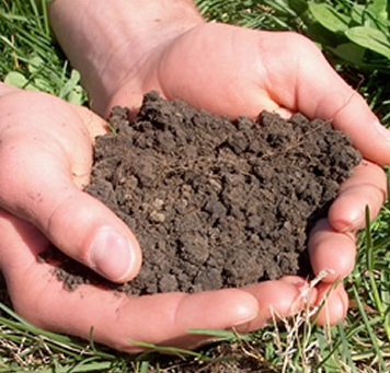 Soil Testing is an Essential Lawn Care Practice
