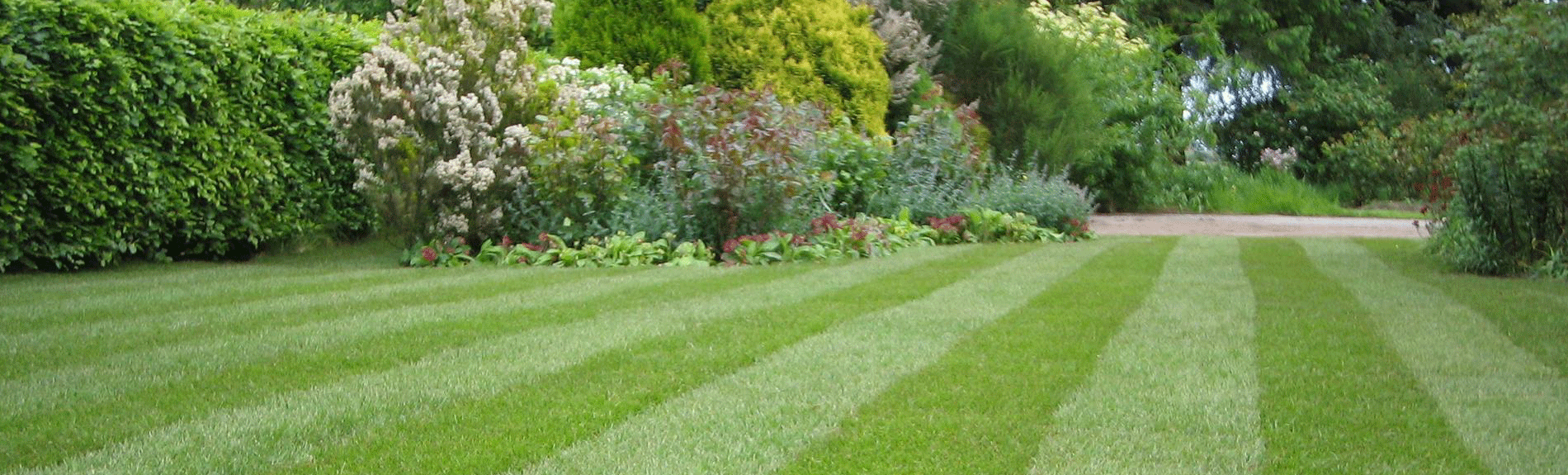 Landscape And Lawn Care