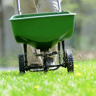 The Ultimate Lawn Care Guide