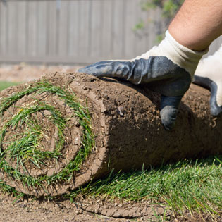 Sod Installation and Care Guidelines