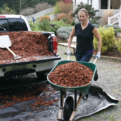 All Mulches are not Created Equal