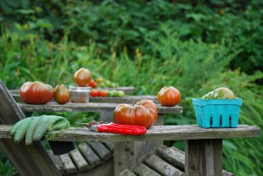 August Garden Calendar