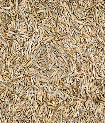 Specialty Grass Seed Blends
