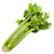 Celery