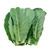 Collard