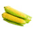 Sweet Corn