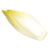 endive