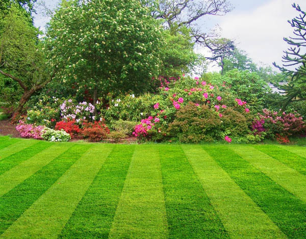8 Simple Techniques For Benefits Of Lawn Service - International Review Group - Lacquer